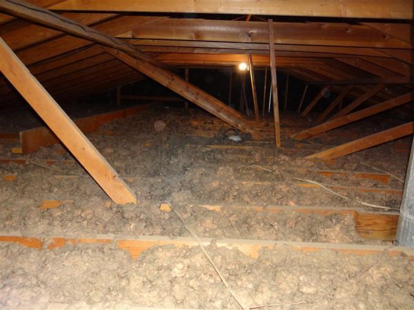 Attic Insulation Dublin