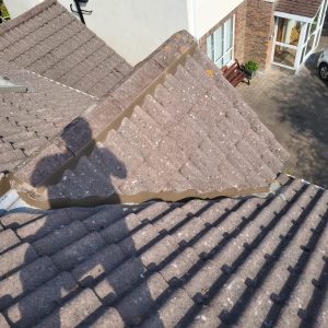 Roof Repair and Ridge Tile Repair in Cabra
